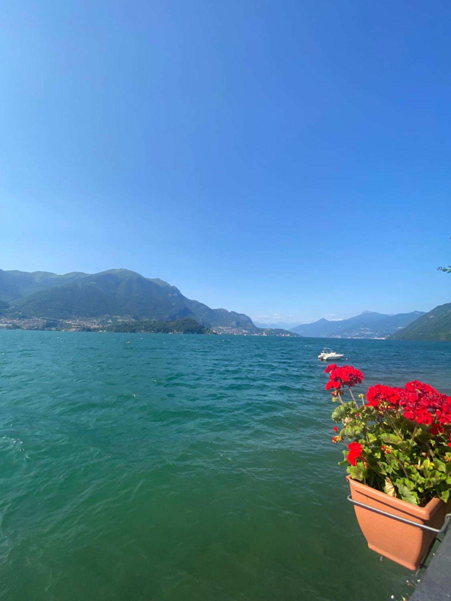 Peonia Apartment - Appartamento Vista Lago Lezzeno Εξωτερικό φωτογραφία