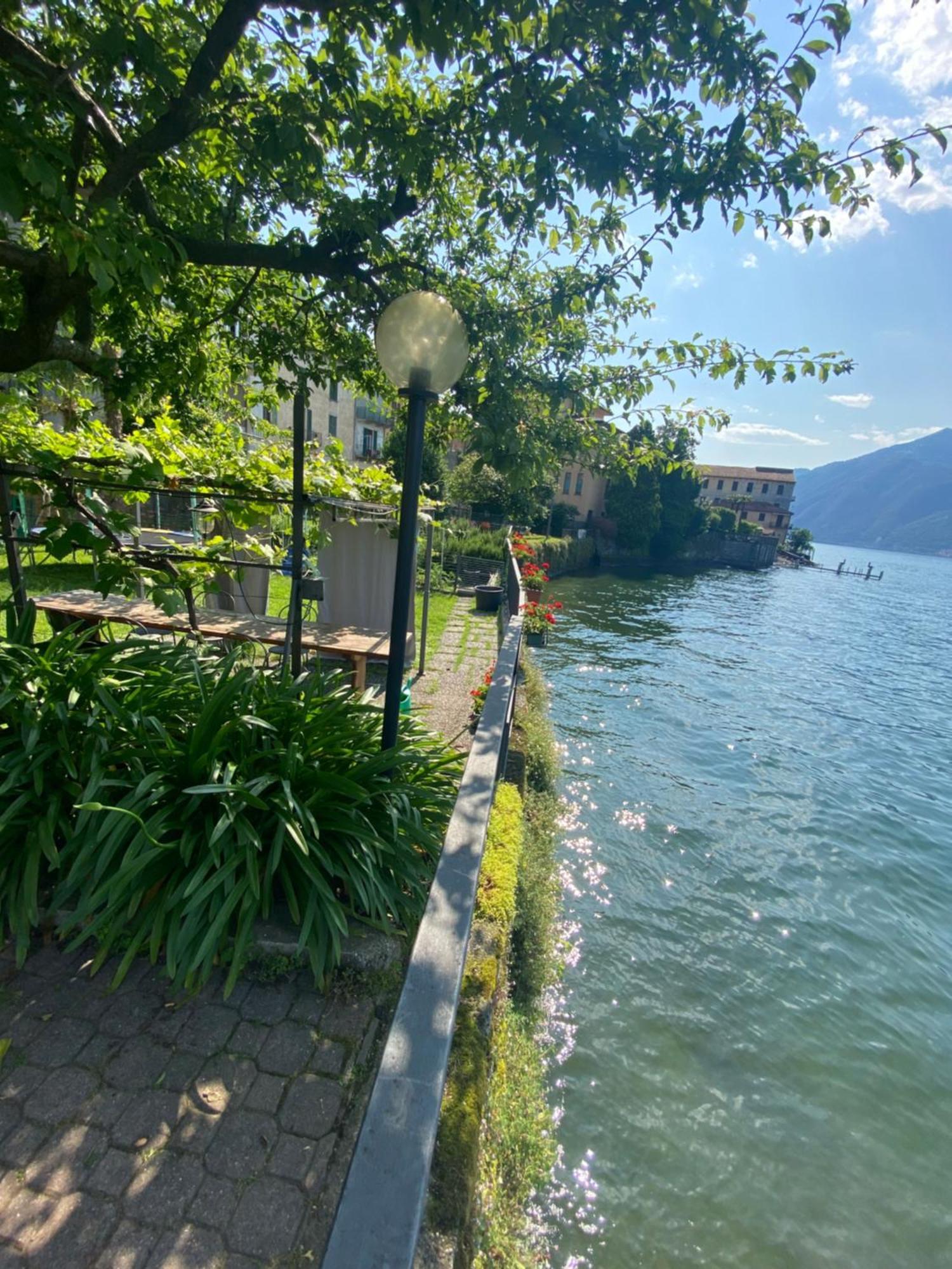 Peonia Apartment - Appartamento Vista Lago Lezzeno Εξωτερικό φωτογραφία