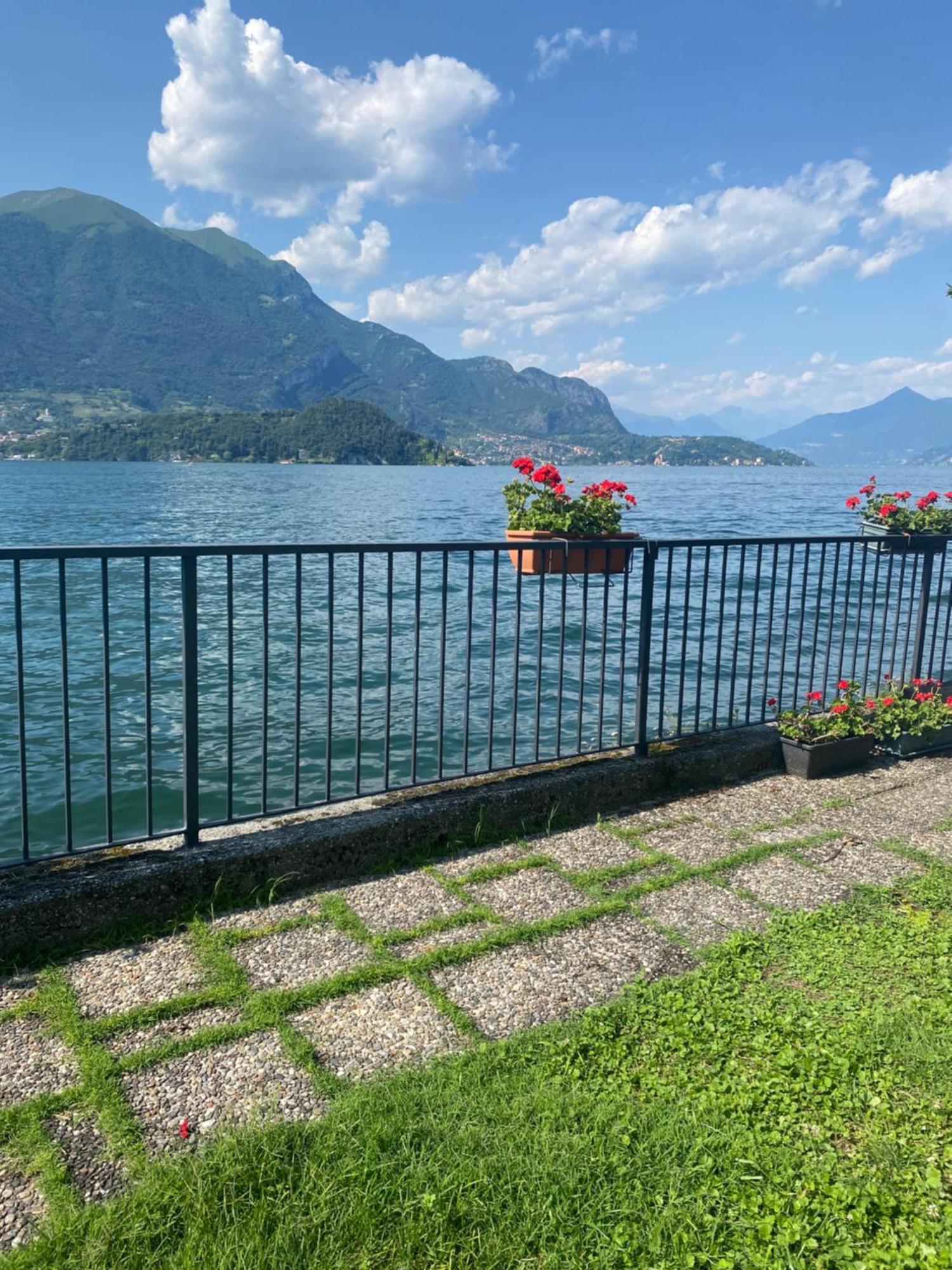 Peonia Apartment - Appartamento Vista Lago Lezzeno Εξωτερικό φωτογραφία