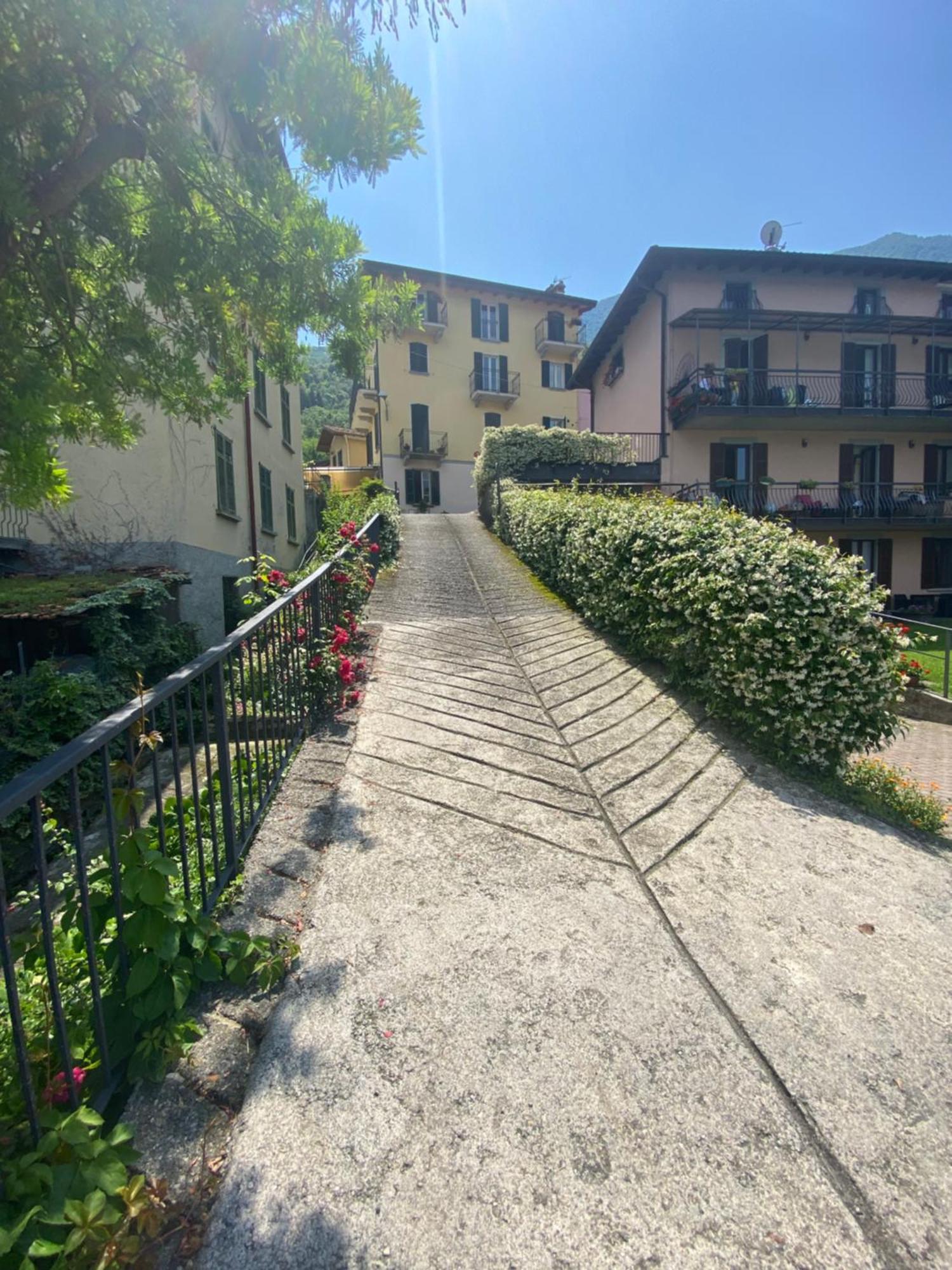 Peonia Apartment - Appartamento Vista Lago Lezzeno Εξωτερικό φωτογραφία