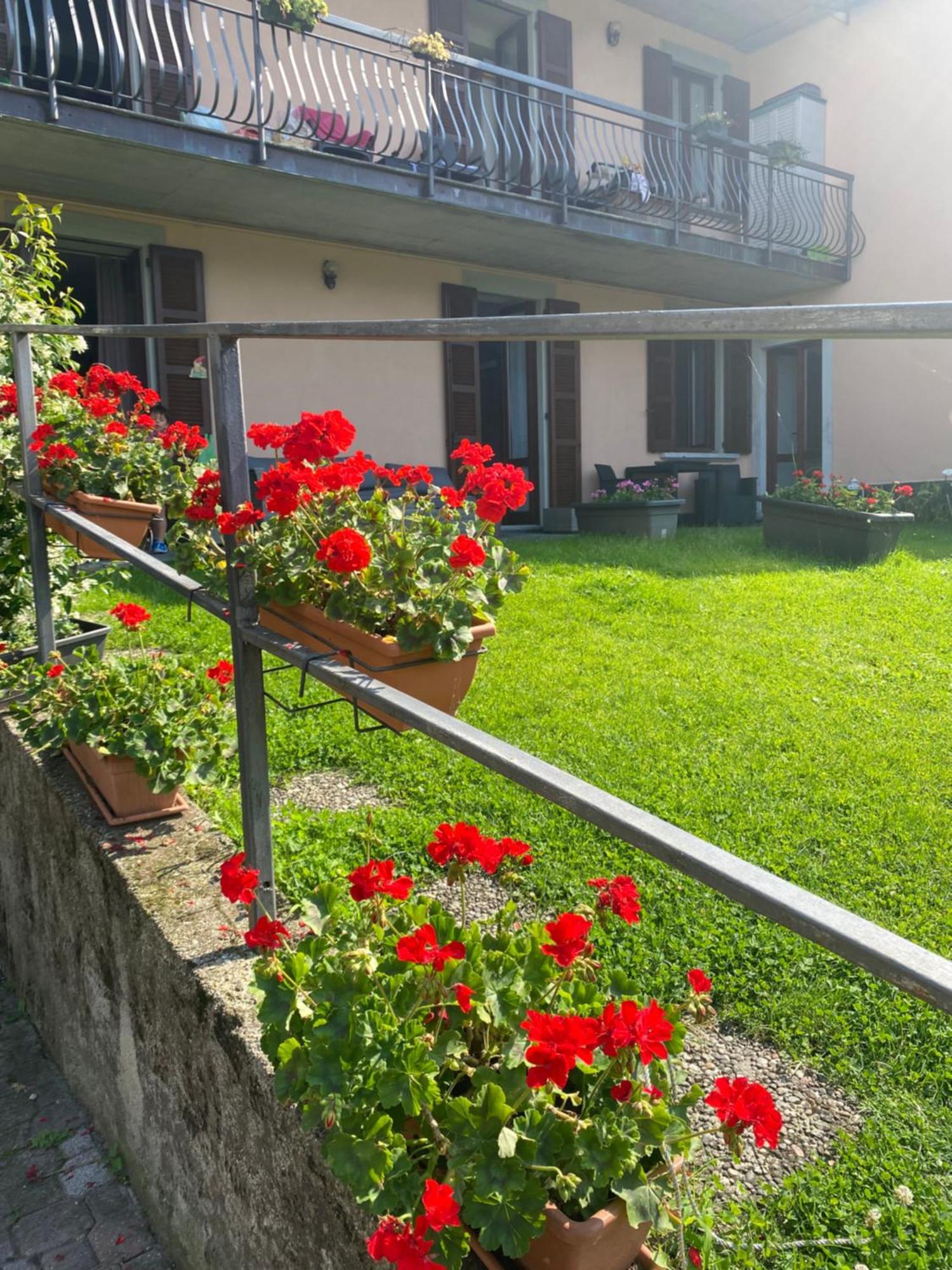 Peonia Apartment - Appartamento Vista Lago Lezzeno Εξωτερικό φωτογραφία