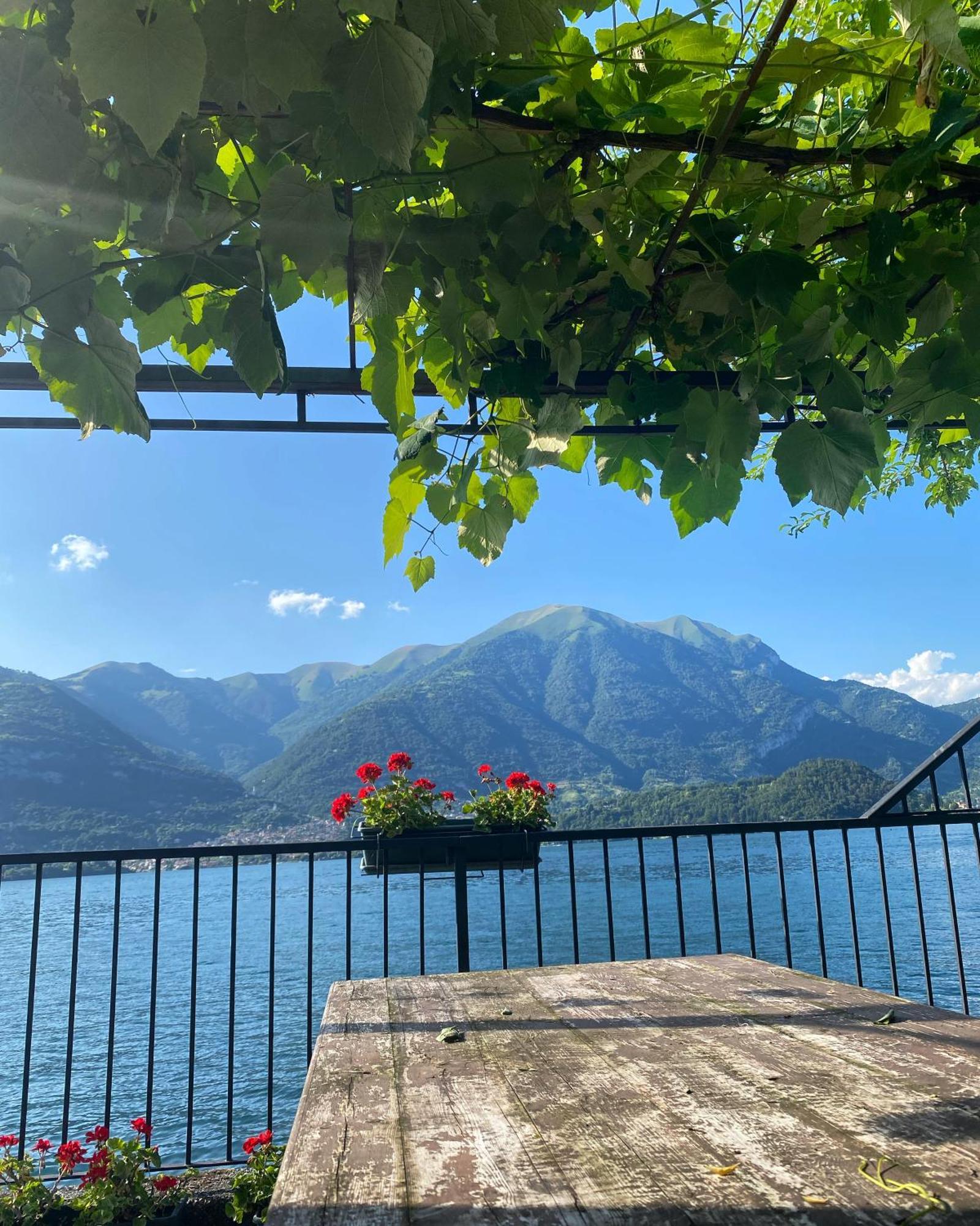 Peonia Apartment - Appartamento Vista Lago Lezzeno Εξωτερικό φωτογραφία