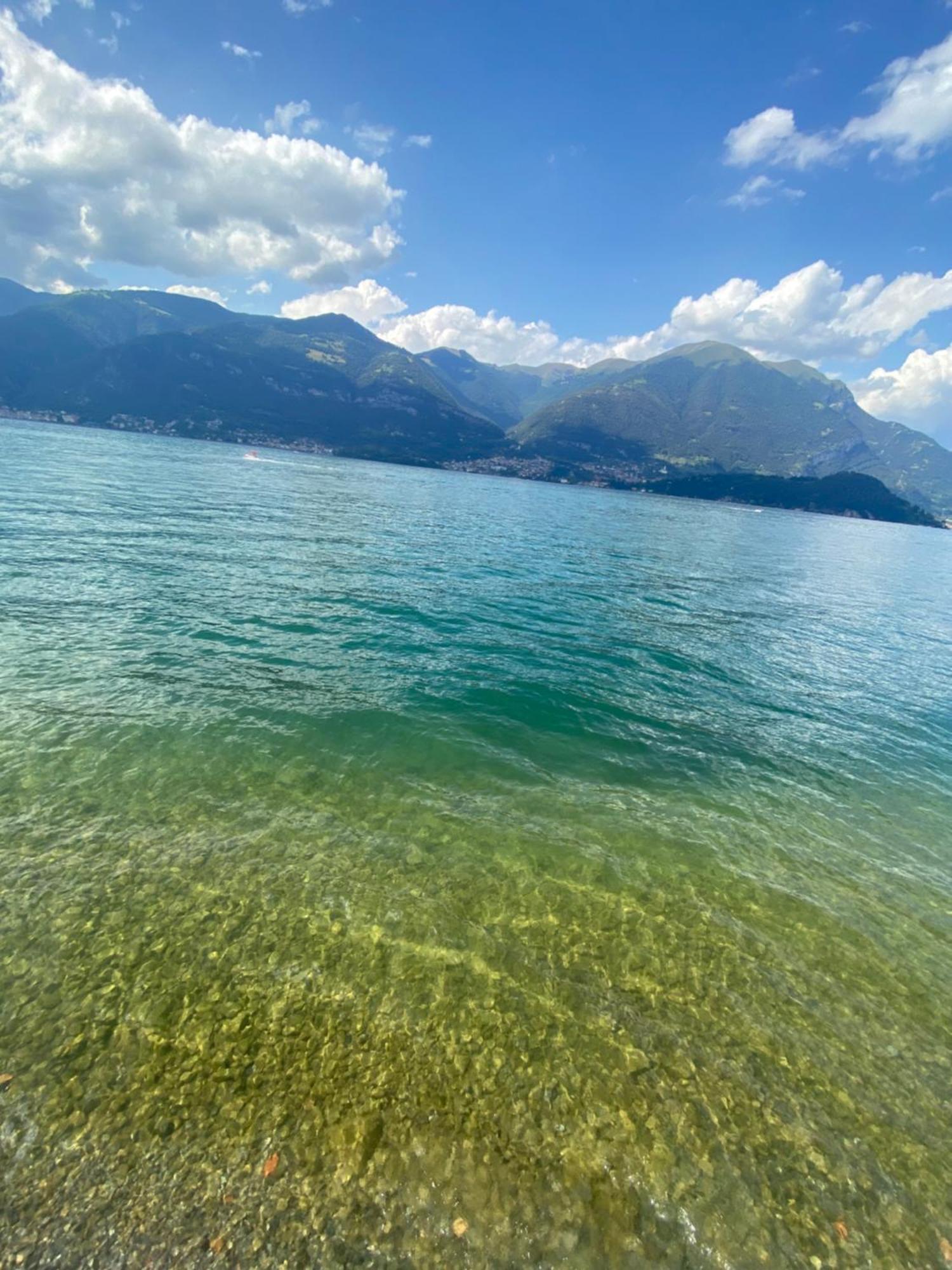 Peonia Apartment - Appartamento Vista Lago Lezzeno Εξωτερικό φωτογραφία