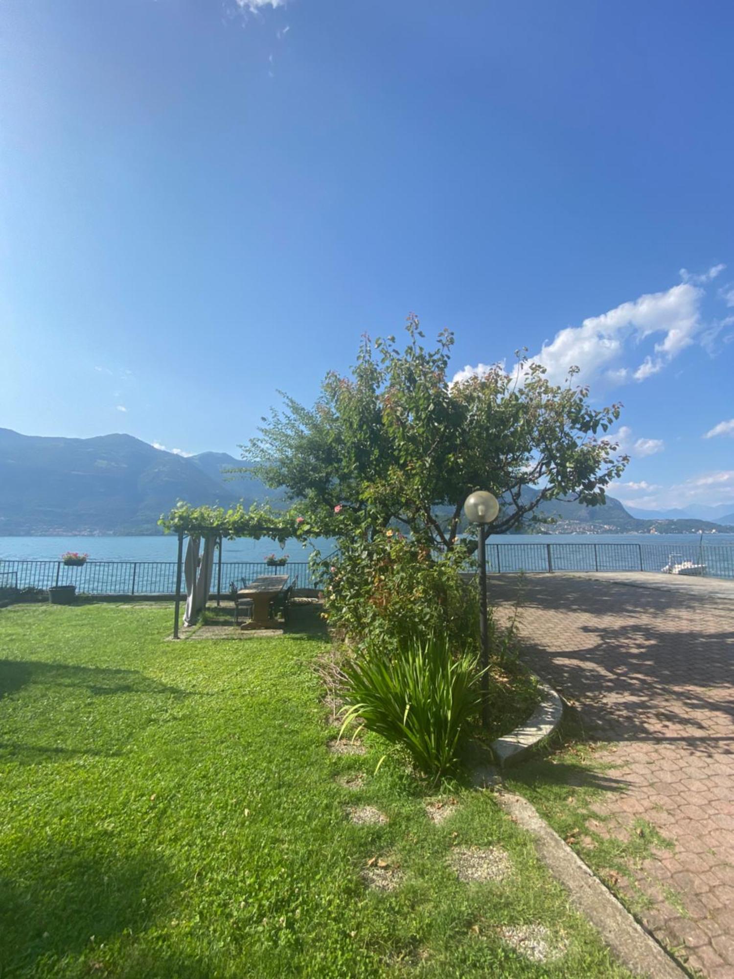 Peonia Apartment - Appartamento Vista Lago Lezzeno Εξωτερικό φωτογραφία