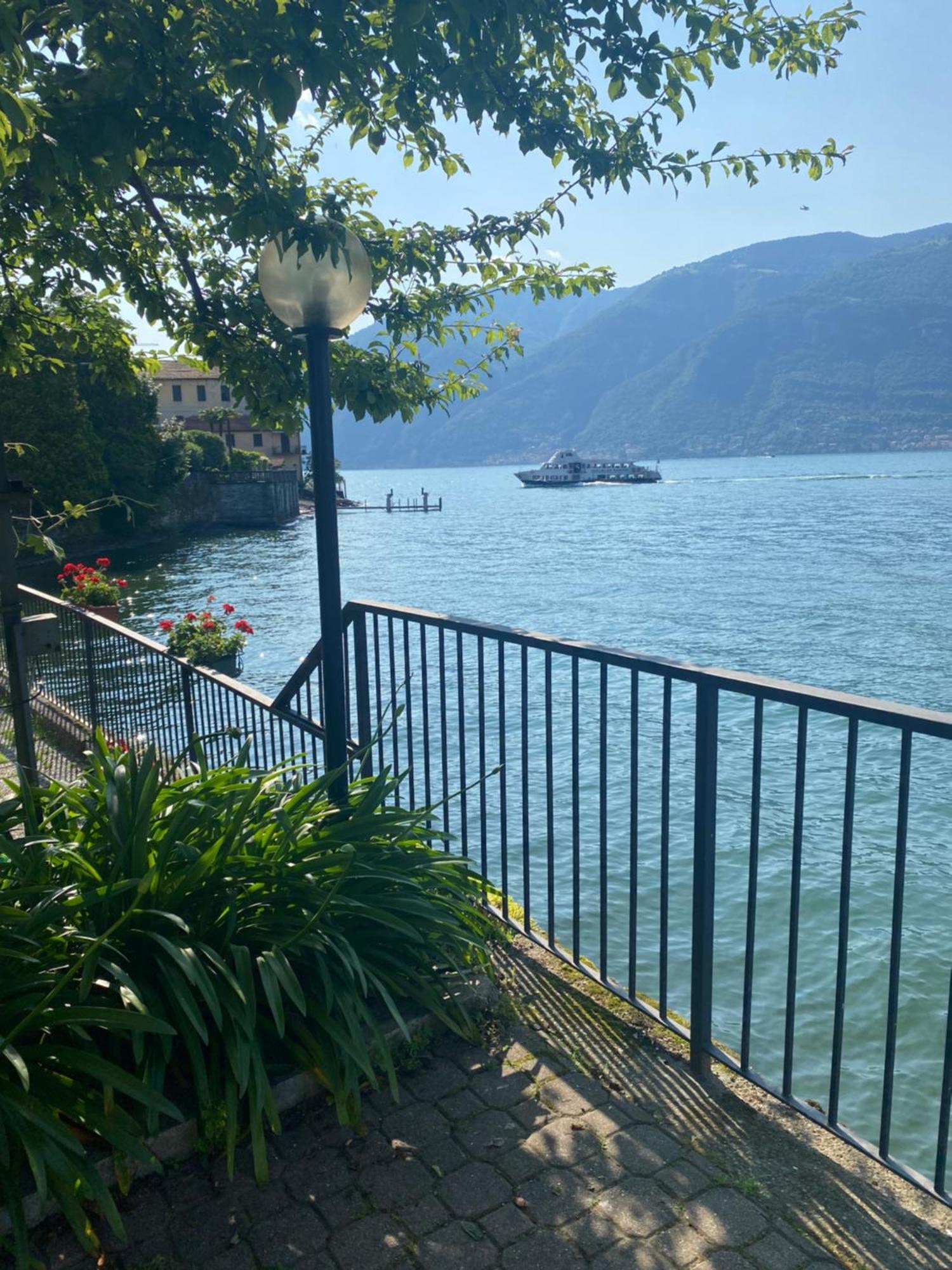 Peonia Apartment - Appartamento Vista Lago Lezzeno Εξωτερικό φωτογραφία