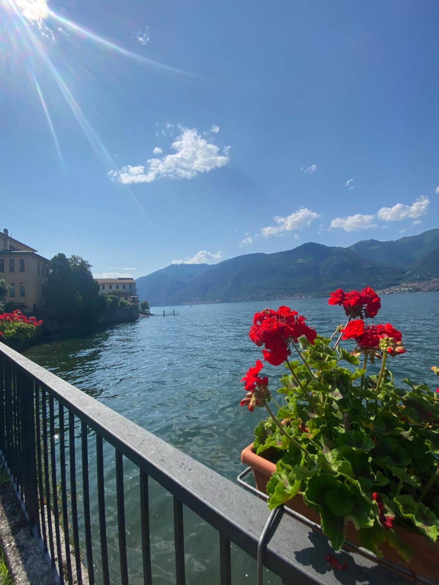 Peonia Apartment - Appartamento Vista Lago Lezzeno Εξωτερικό φωτογραφία