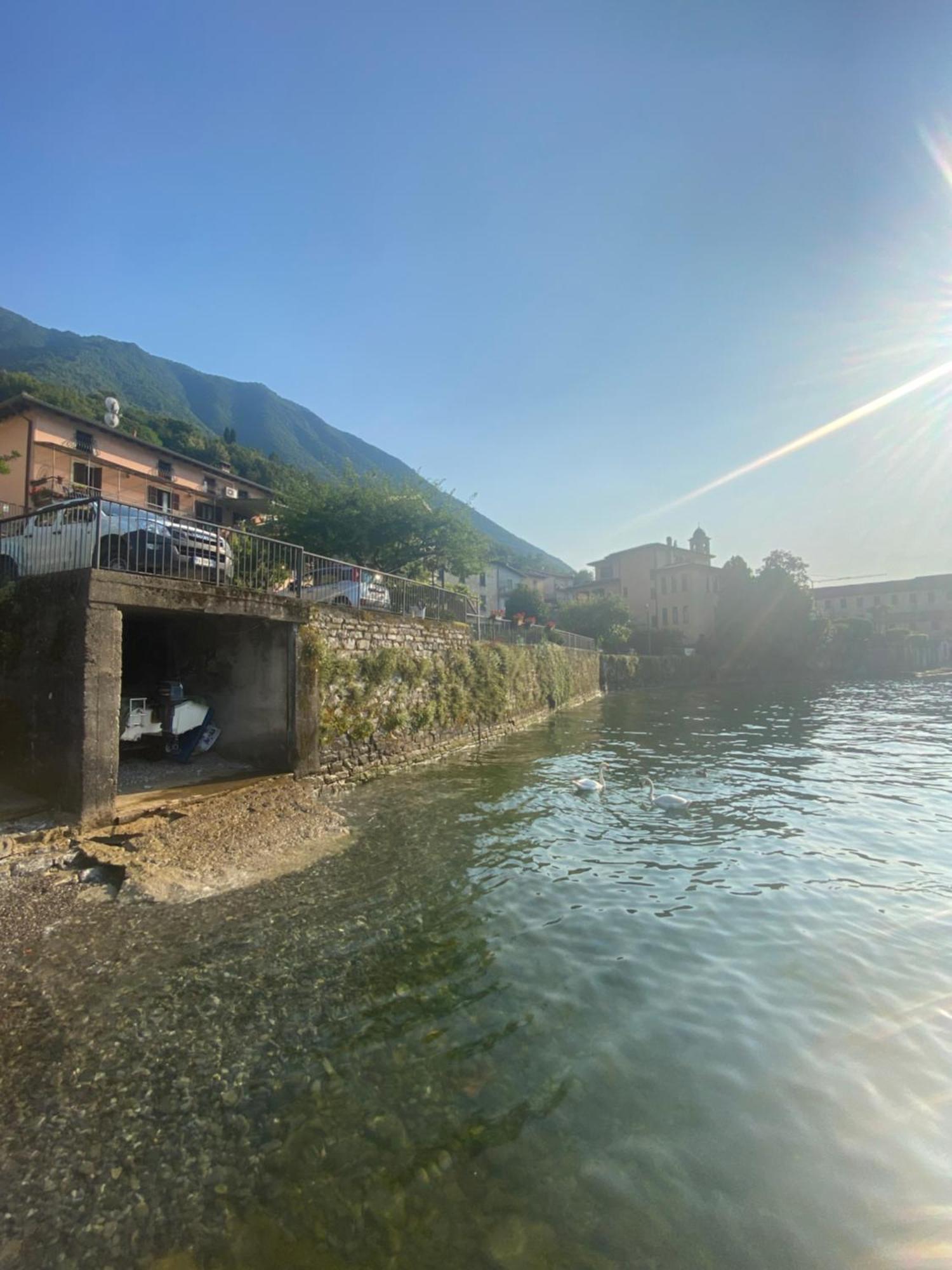 Peonia Apartment - Appartamento Vista Lago Lezzeno Εξωτερικό φωτογραφία