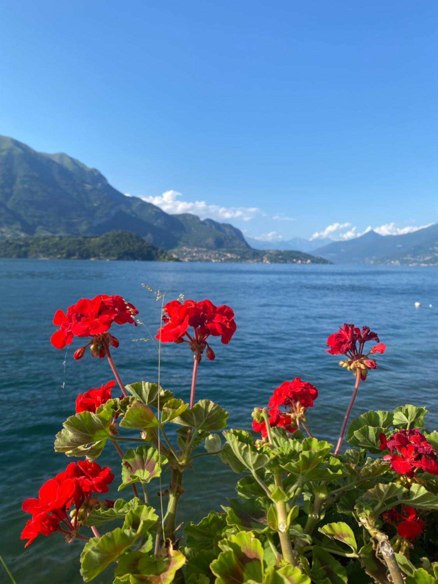 Peonia Apartment - Appartamento Vista Lago Lezzeno Εξωτερικό φωτογραφία