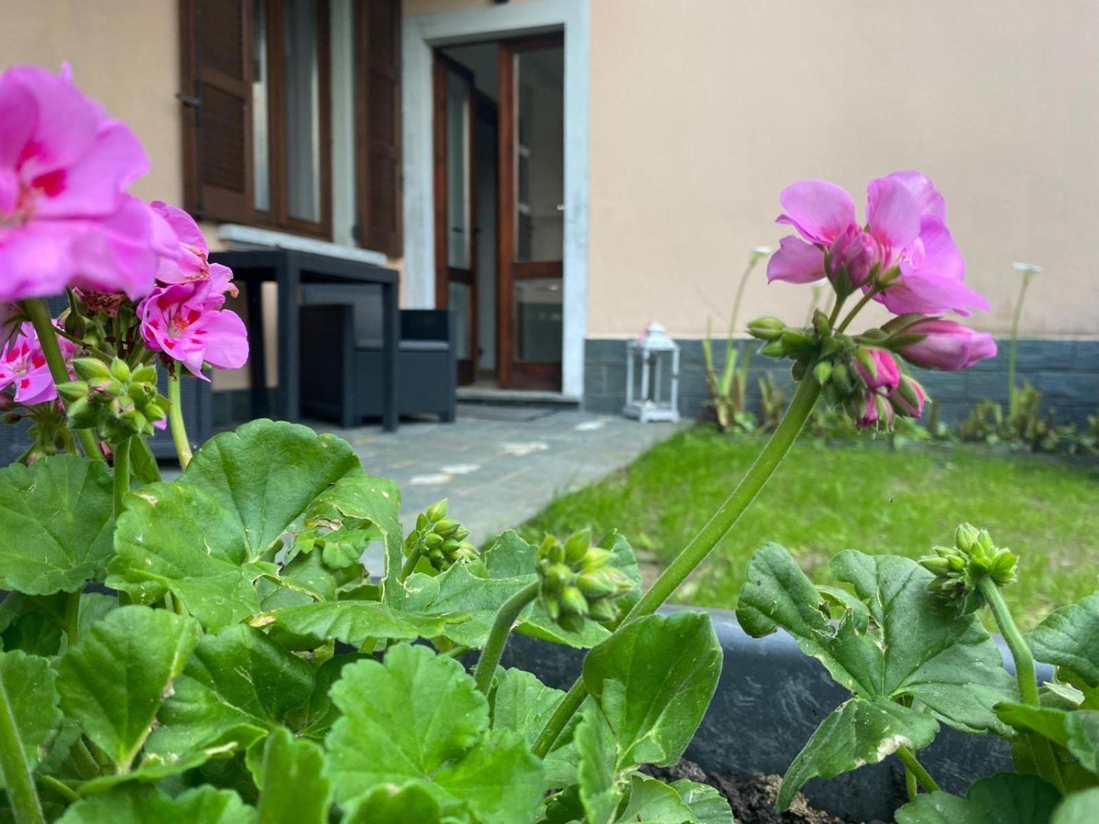 Peonia Apartment - Appartamento Vista Lago Lezzeno Εξωτερικό φωτογραφία